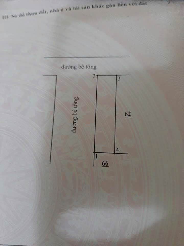 Đất 2 mặt tiền ô tô Phú Trường, Thị trấn Phú Long 100m² - Cơ hội đầu tư hiếm có!