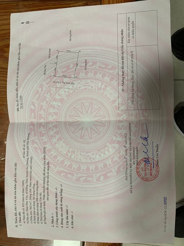 Nhà Đào Yêu, An Hải 58m² giá 1.7 tỷ - Cơ hội đầu tư sinh lời cao!