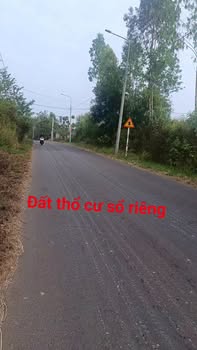 Đất nền mặt tiền đường Nam Lộ 101, xã La Ngà, 500m² - Vị trí kinh doanh tuyệt vời!