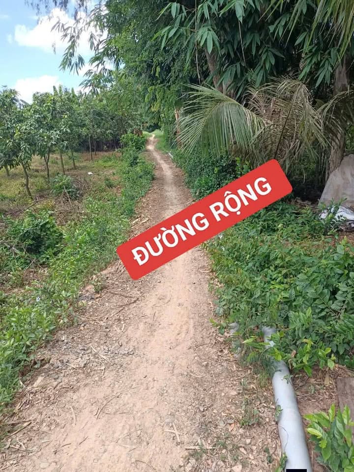 Đất vườn 4.300m² tại Xã Long Thuận, Đồng Tháp - Giá 650 triệu, Sổ đỏ chính chủ!