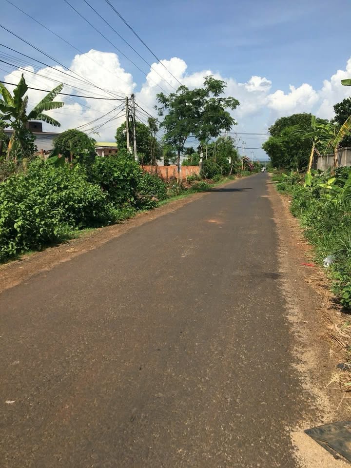 Đất thổ cư Phường Tân Thành 667m² giá 1.86 tỷ - Thích hợp kinh doanh mọi ngành nghề!