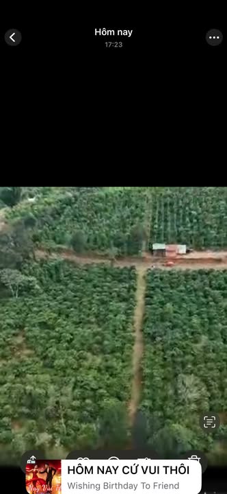 Đất thổ cư 10.600m² tại thôn 8, Tuy Đức - Giá chỉ 3.9 tỷ!