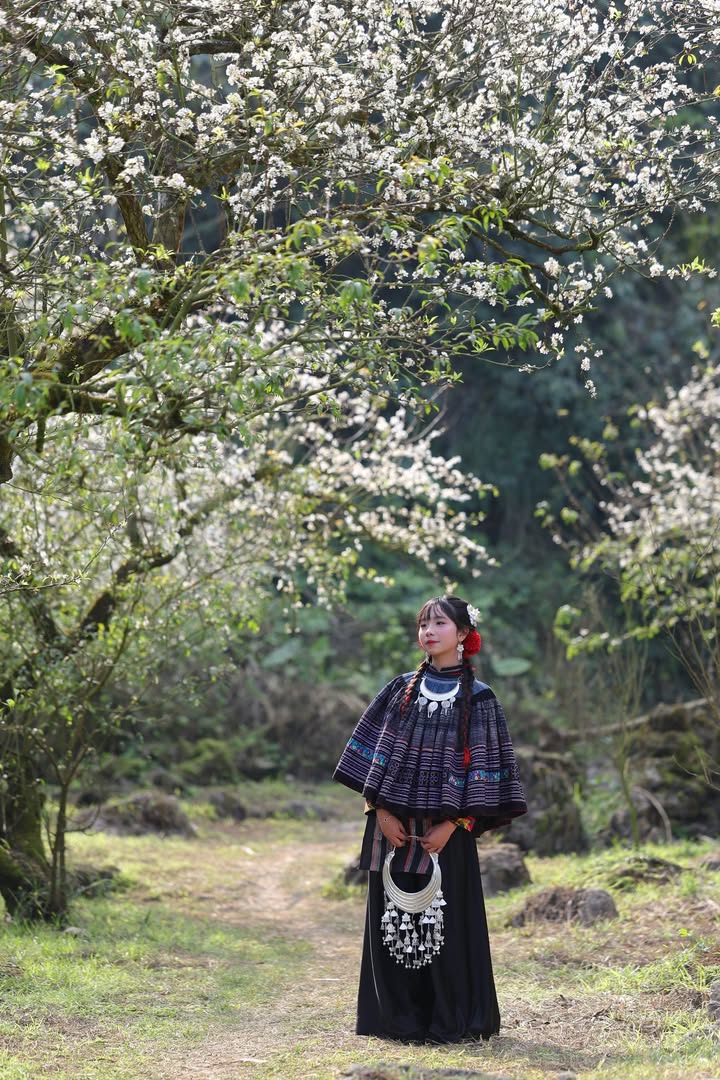 Đất nền Mộc Châu 125m² chỉ 2 tỷ - Giá tốt không thể bỏ lỡ!