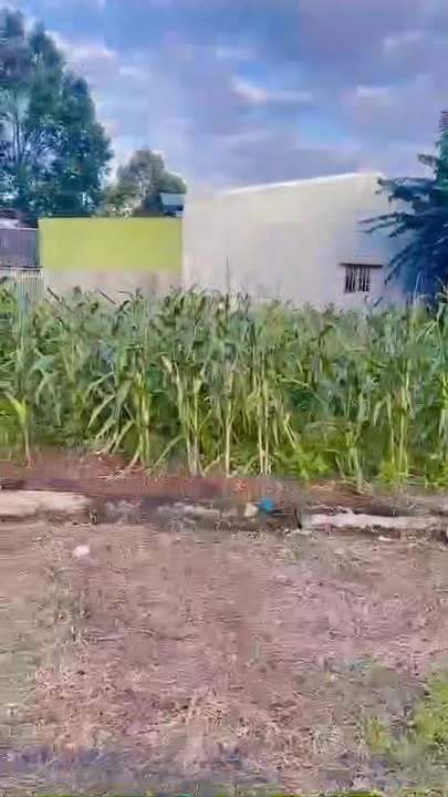 Đất nền mặt tiền đường Nguyễn Trãi Ea Kar 150m² - Sổ đỏ chính chủ, thổ cư 100%!