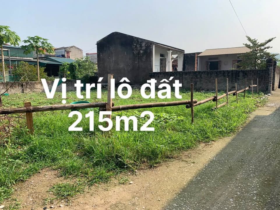 Đất nền Rừng Thông, Thanh Hóa 214m² giá 1 tỷ - Đầu tư sinh lợi ngay!