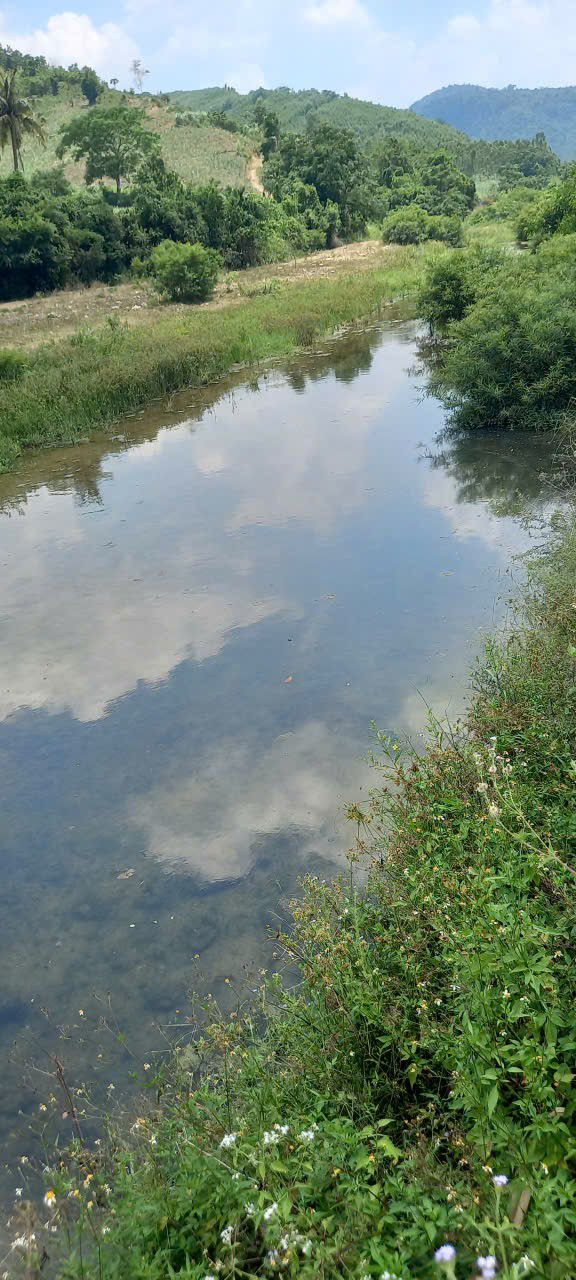 Đất nông nghiệp 5000m² tại Sơn Hòa, Phú Yên - Cơ hội đầu tư sinh lời!