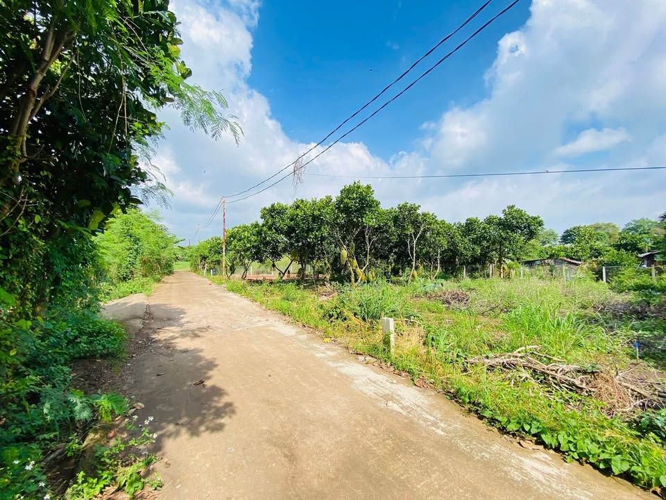 Đất nền thổ cư Phường Bảo Vinh, Long Khánh 105m² giá 870 triệu - Cơ hội đầu tư tuyệt vời!