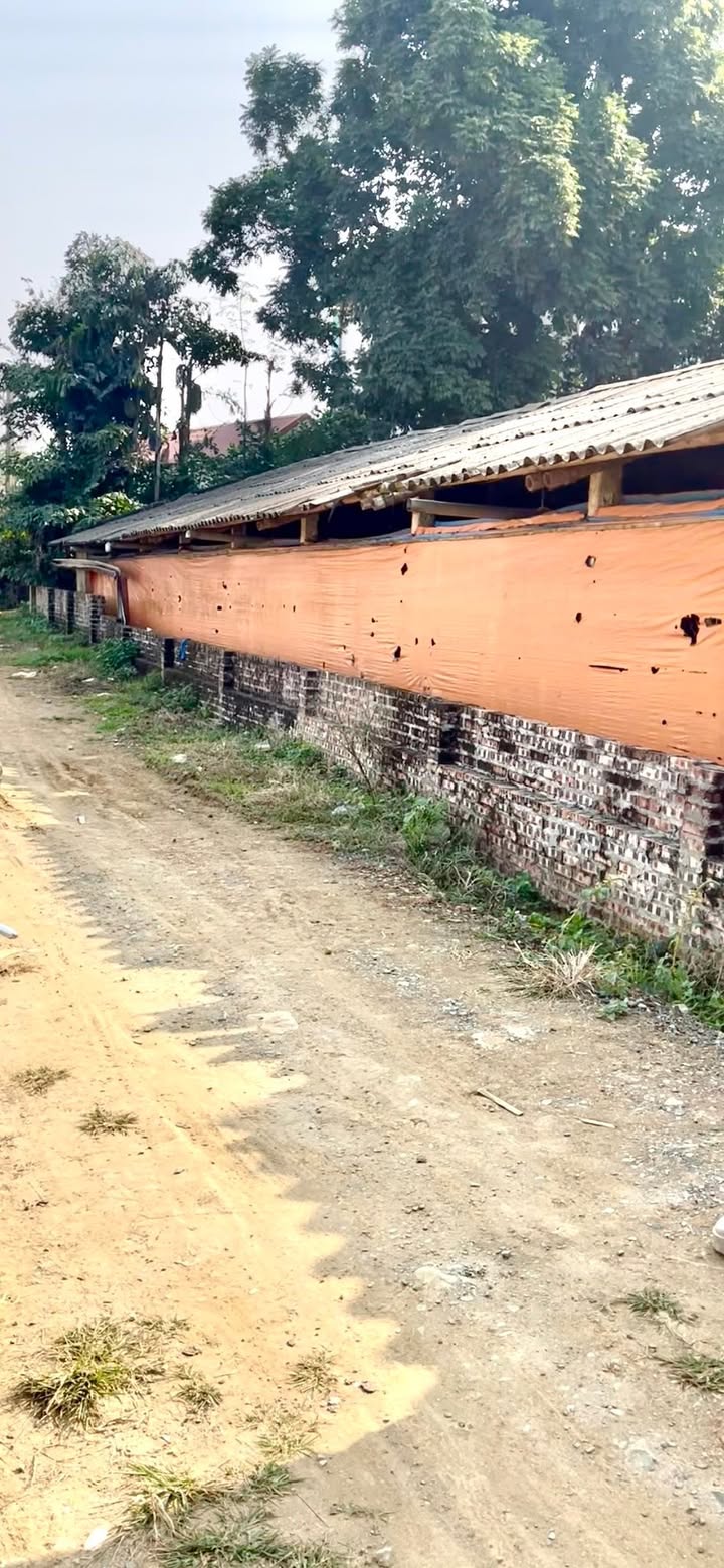 Đất Hòa Thạch Quốc Oai 2500m² - Đầu tư sinh lời hấp dẫn!