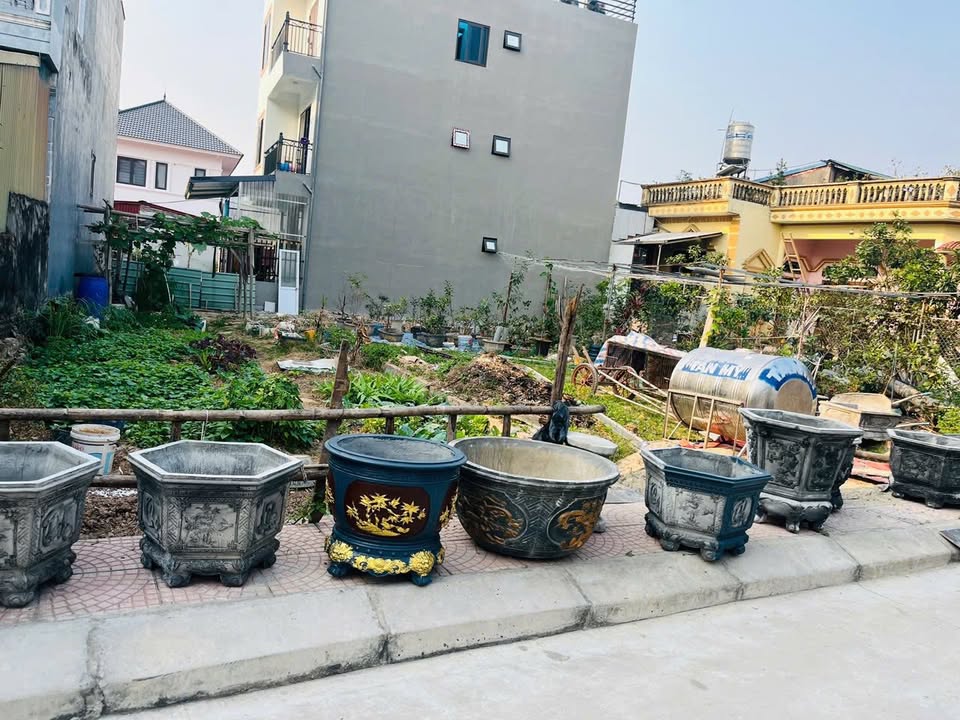 Đất thổ cư Mai Nội, Sóc Sơn 99m² giá thỏa thuận - Vị trí đẹp, đầu tư sinh lời!