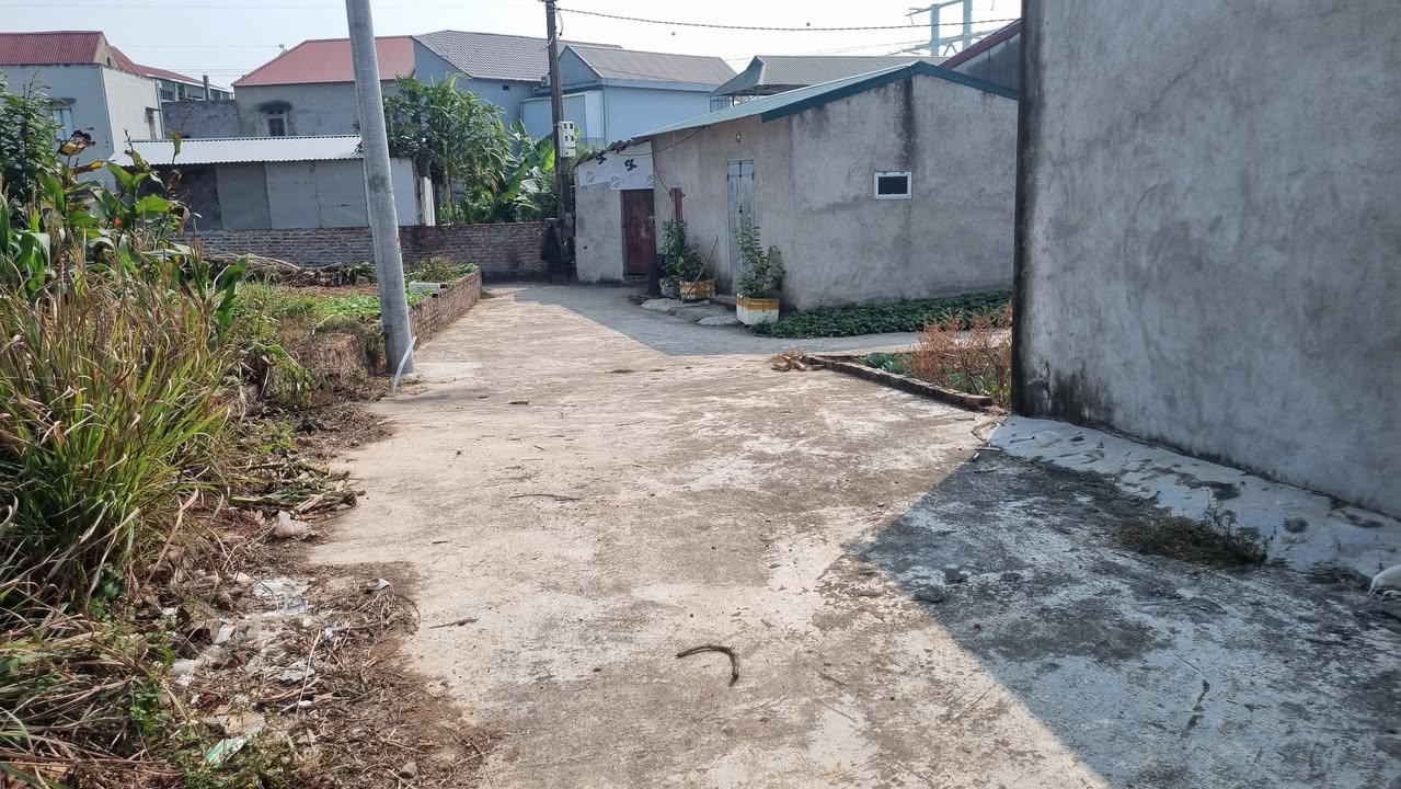 Đất nền Xuân Lễ, Tân Dân, Sóc Sơn 76m² giá 1.7 tỷ - Sổ hồng chính chủ sẵn sàng giao dịch!