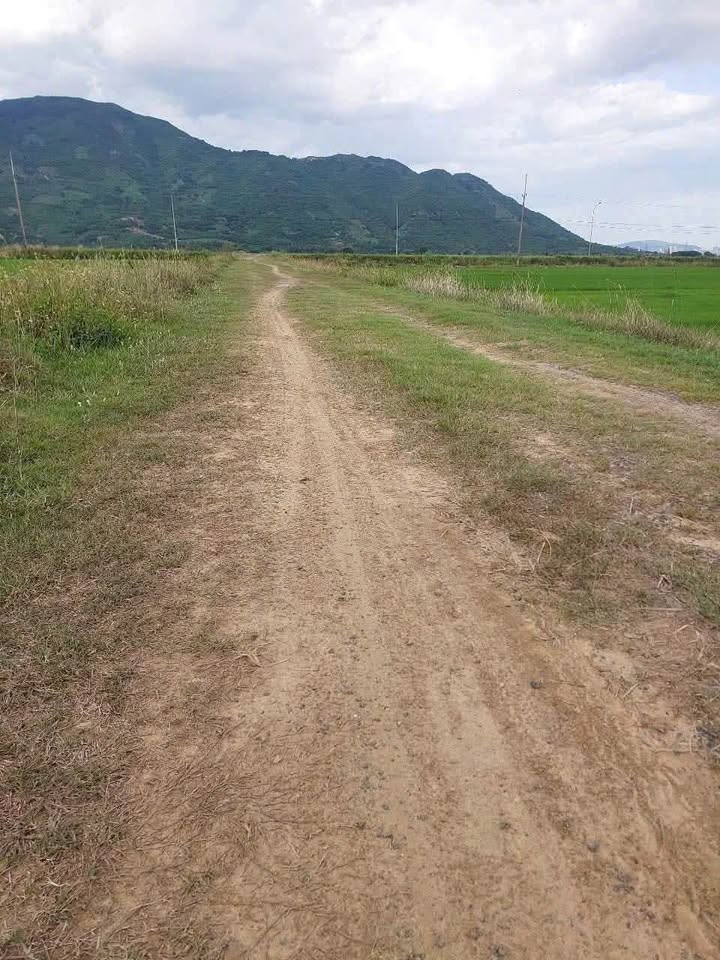 Đất nền gần khu du lịch Am Chúa, Diên Điền, 3600m² - Cơ hội đầu tư hấp dẫn!