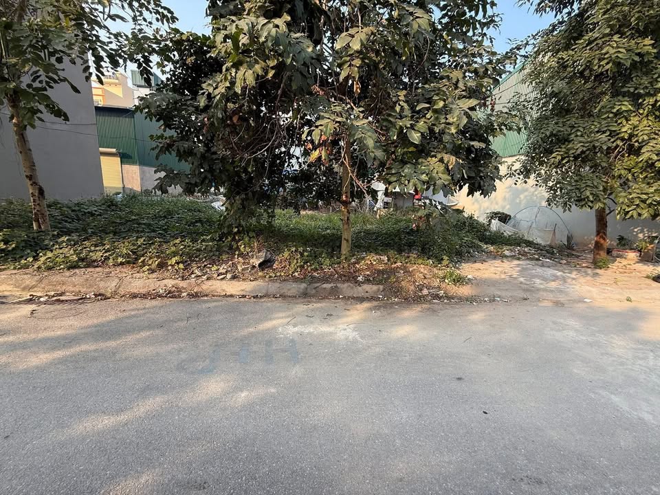 Đất liền kề TĐC Liên Ninh, Thanh Trì 60m² giá 13.6 tỷ - Đầu tư sinh lời ngay!