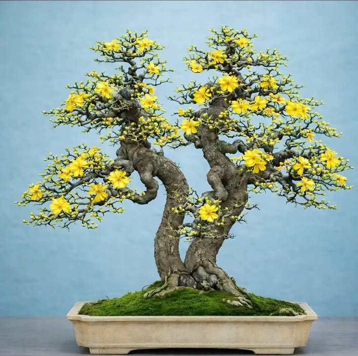 Nhà mặt tiền Trung Mỹ Tây 67m² giá 3.8 tỷ - Kinh doanh sầm uất!