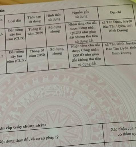 Đất nền 6 héc Tân Định, Tân Uyên 37.2 tỷ - Cơ hội đầu tư hấp dẫn!