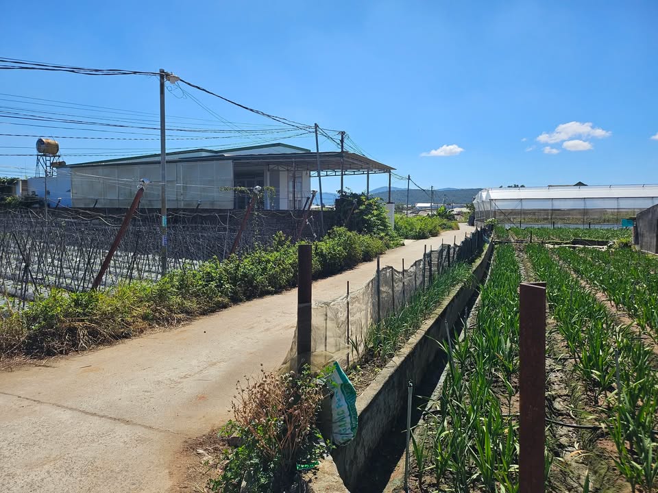 Đất nền Thạnh Mỹ 255m² giá 1.1 tỷ - Đầu tư sinh lời ngay!