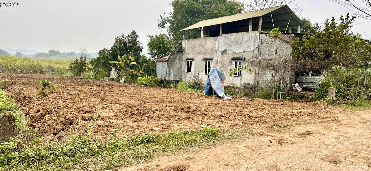 Đất thổ cư 200m² mặt đường nhựa xã Mỹ Hòa diện tích 1700m² giá 1.2 tỷ - Cơ hội đầu tư hấp dẫn!