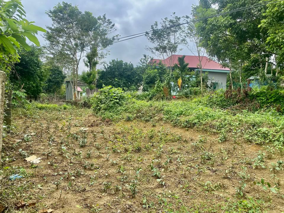 Đất thổ cư 100m² tại Lương Sơn, Hòa Bình 1800m² giá 2 tỷ - Cơ hội đầu tư sinh lời!