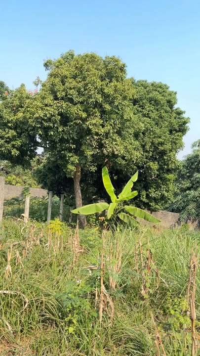 Đất thổ cư thị trấn Lương Sơn 721m² giá 2 tỷ - Không khí trong lành, sẵn sàng đầu tư!