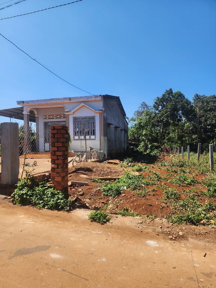 Đất Cư Suê 130m² giá 1.35 tỷ - Đường ô tô thông tứ hướng