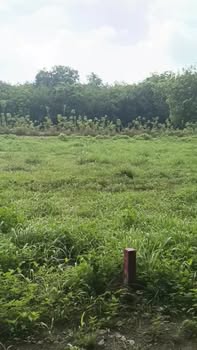 Đất thổ cư KDC Kim Oanh Thủ Đức 350m² giá 1.7 tỷ - Xây dựng tự do!