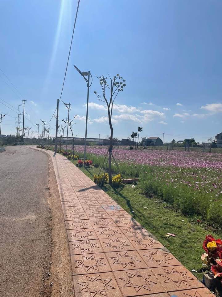 Đất thổ cư Xã Phú Hội, Đức Trọng 135m² giá chỉ từ 1.25 tỷ - Cơ hội đầu tư tuyệt vời!