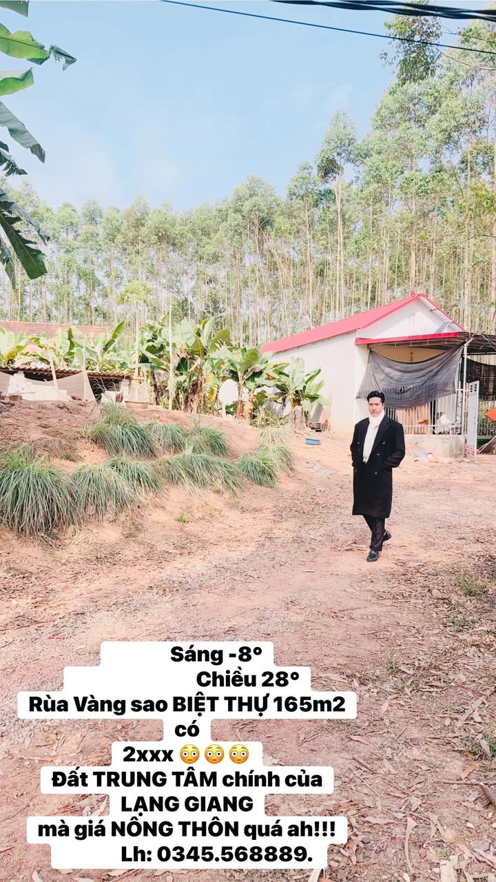Biệt thự Rùa Vàng Lạng Giang 165m² giá tốt - Đất trung tâm, cơ hội đầu tư tuyệt vời!