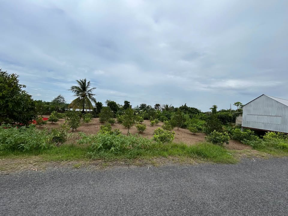 Đất nền 24530m² Xã An Bình, Huyện Long Hồ, Vĩnh Long giá 1.7 tỷ - Cơ hội đầu tư tuyệt vời!