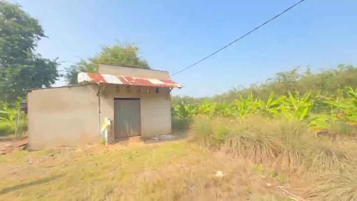 Đất nền 1ha Gia Tân, Thống Nhất, Đồng Nai chỉ 2 tỷ - Cơ hội đầu tư tuyệt vời!