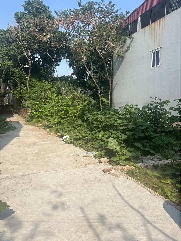 Đất nền chính chủ 50m² tại Đức Hiệp, Thuận Thành - Giá chỉ 1.4 tỷ, đầu tư sinh lời!