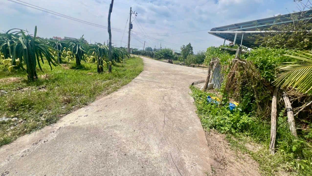 Đất cây lâu năm 1.700m² tại Xuân Điền, Bình Thuận - Góc 2 mặt tiền, giá chỉ 813 triệu!