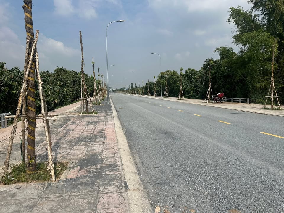 Đất nền đường Nguyễn Thị Lựu, Huyện Cao Lãnh, 82m² giá 2.9 tỷ - Kinh doanh tuyệt vời!