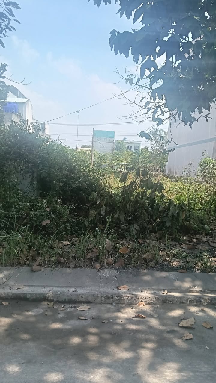 Lô đất KDC 135 Bến Lức 120m² giá 3.25 tỷ - Đầu tư sinh lời ngay!