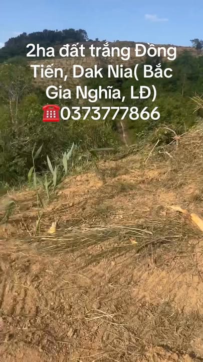 Đất nông nghiệp 2ha thôn Đồng Tiến, Đắk Nia - Giá chỉ 1.6 tỷ, đầu tư sinh lời!