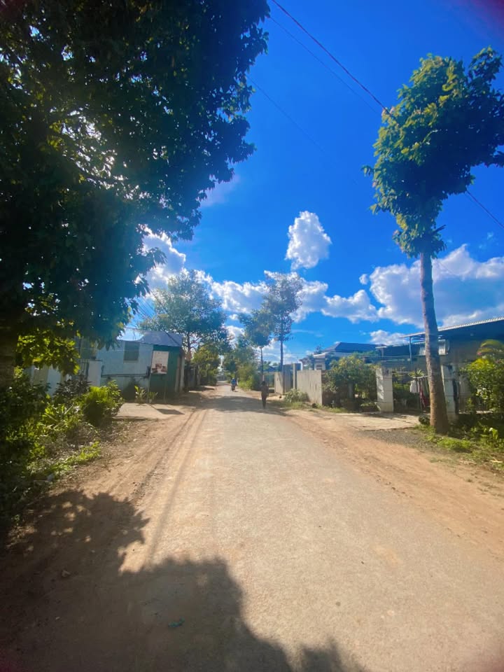 FrontHouse mặt tiền Trần Huy Liệu 300m² giá 10 tỷ - Đầu tư sinh lời ngay!