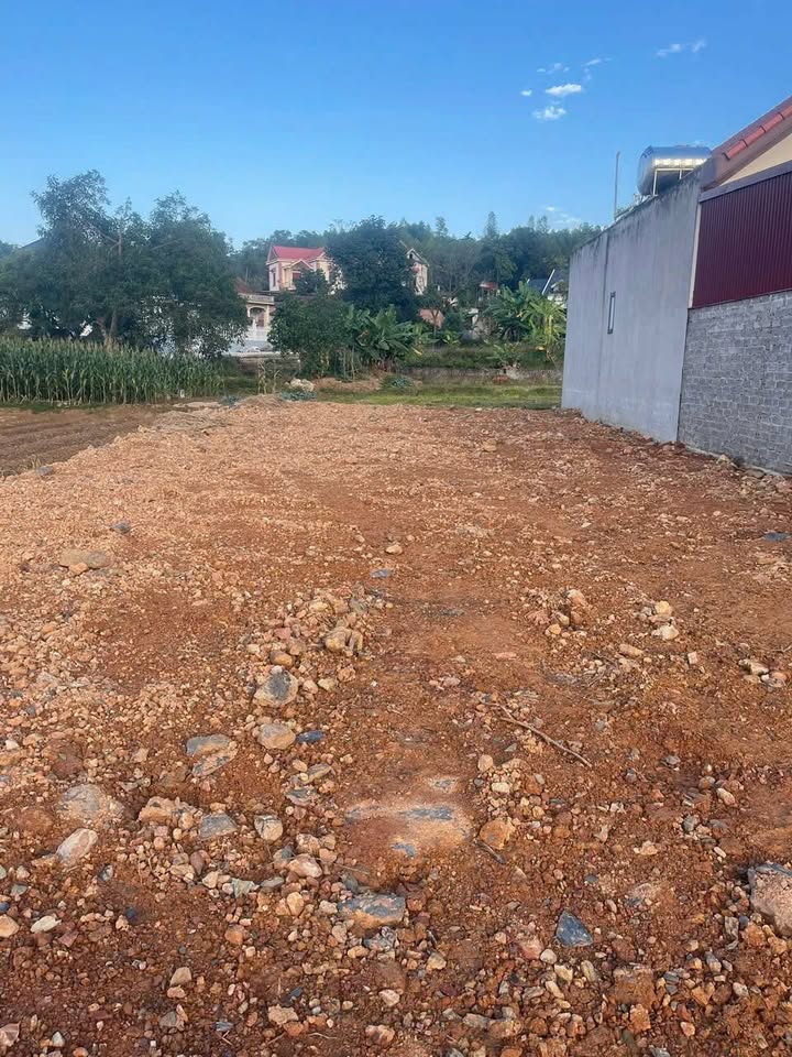 Đất nền 250m² tại TDP Toàn Thắng, P Tân An - Giá chỉ 4 tỷ, vị trí đắc địa!