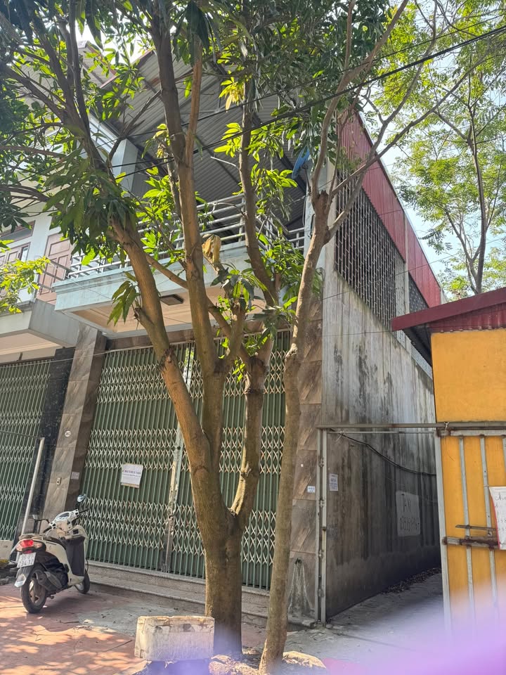 Nhà cho thuê 130m² tại Tam Sơn, Từ Sơn - Không gian sống lý tưởng cho gia đình!