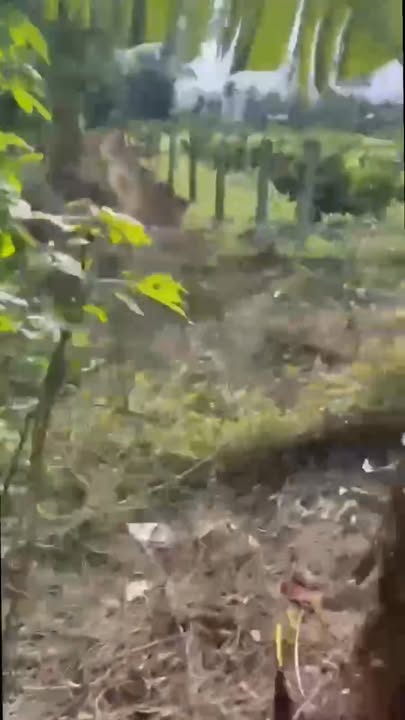 Nhà vườn Ea Drông 1760m² giá 780 triệu - Cơ hội đầu tư tuyệt vời!