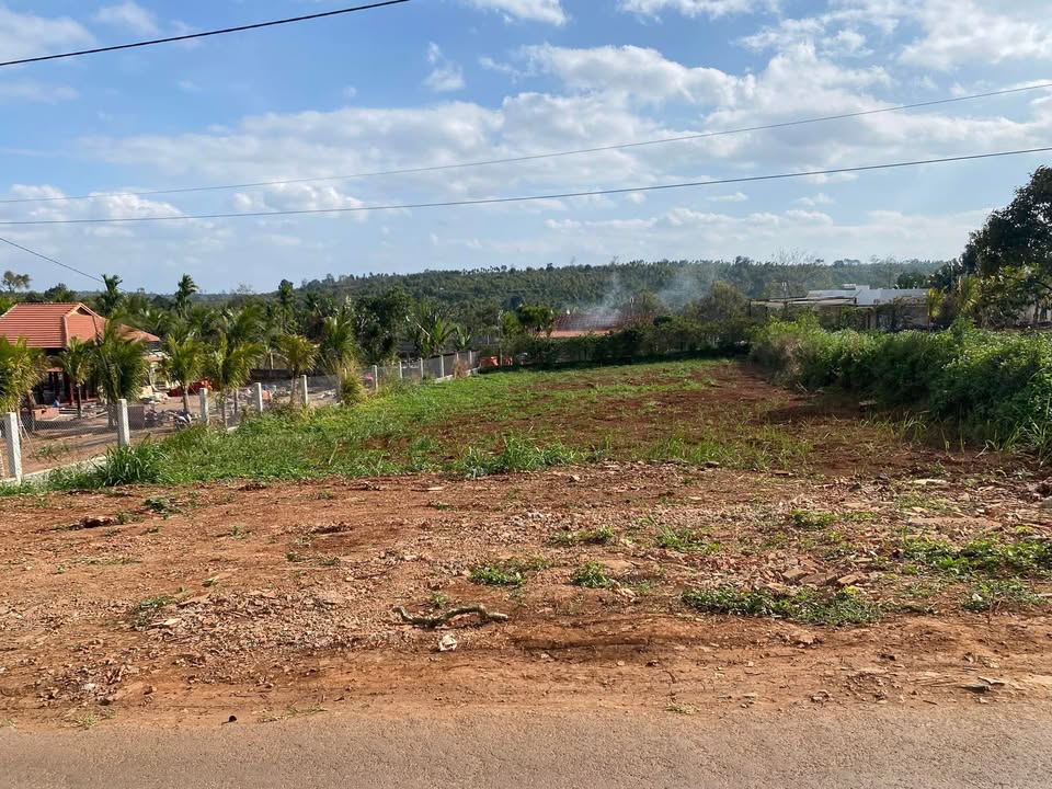 Đất thổ cư Pơng Drang, Krông Búk 1000m² giá 1.075 tỷ - Cơ hội đầu tư không thể bỏ qua!