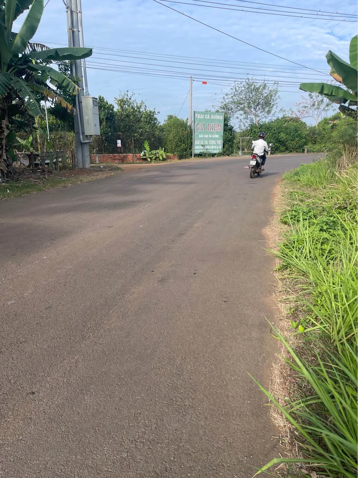 Đất nền Kim Thượng 3600m² giá 900 triệu - Sổ riêng, mặt tiền đường bê tông rộng!