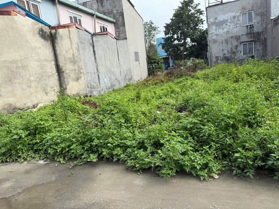 Đất thổ cư Vĩnh Phú 121,7m² giá 3,7 tỷ - Nền đất đẹp, sổ hồng chính chủ!