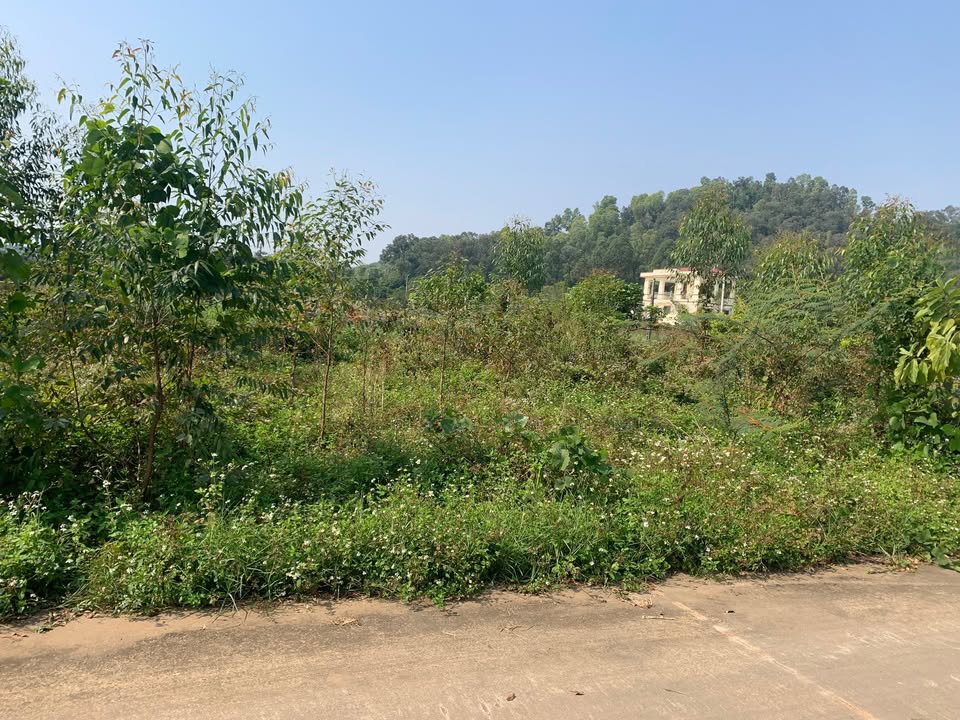 Đất nền KCN Song Mai - Nghĩa Trung 85m² giá thỏa thuận - Đường 2 ô tô tránh nhau!