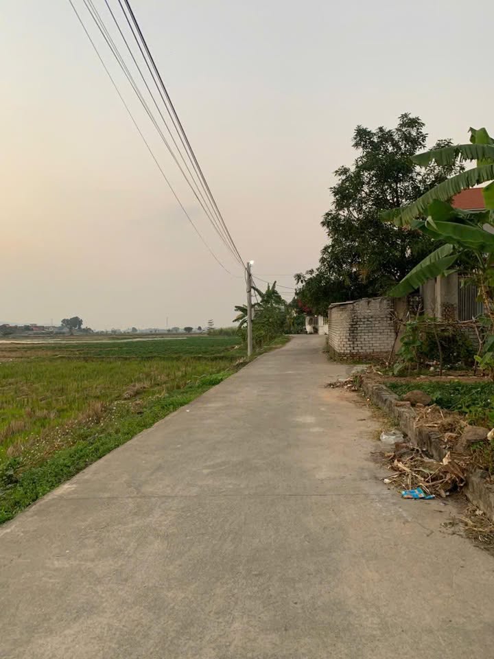 Đất nền góc đẹp tại Thôn Thượng Đức Giang 80m² - Tiềm năng phát triển lớn!