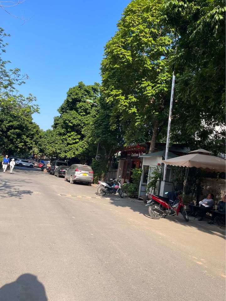 Đất nền Trần Quốc Hoàn, Cầu Giấy 56m² giá 20 tỷ - Sổ đỏ chính chủ, khu vực VIP!