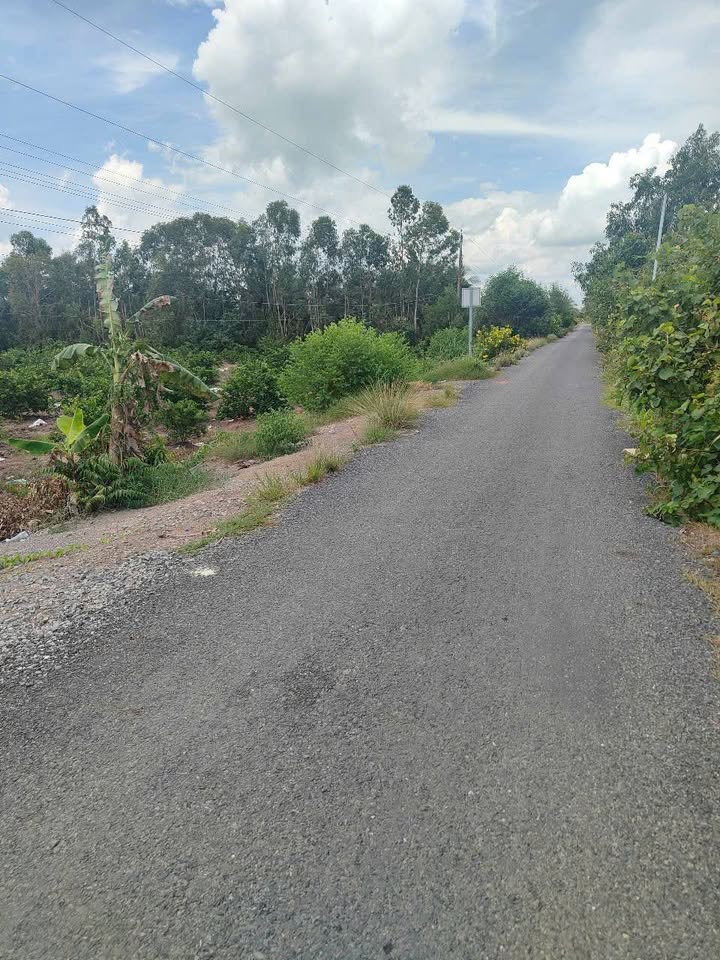 Đất nền Kênh Thanh Hải, Đức Huệ 1540m² chỉ 2.4 tỷ - Cơ hội đầu tư hấp dẫn!