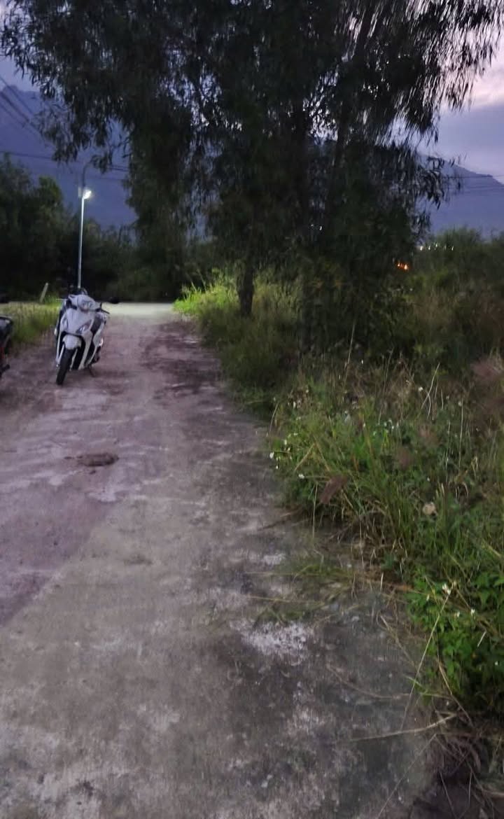 Đất thổ cư 82m² hẻm Thái Khang, Phước Đồng giá 1.42 tỷ - Cơ hội đầu tư hấp dẫn!