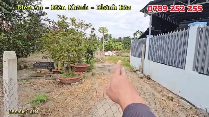 Đất thổ cư 259m² tại thôn An Ninh, Diên An - Giá chỉ 1.82 tỷ, đường rộng ô tô tránh nhau!