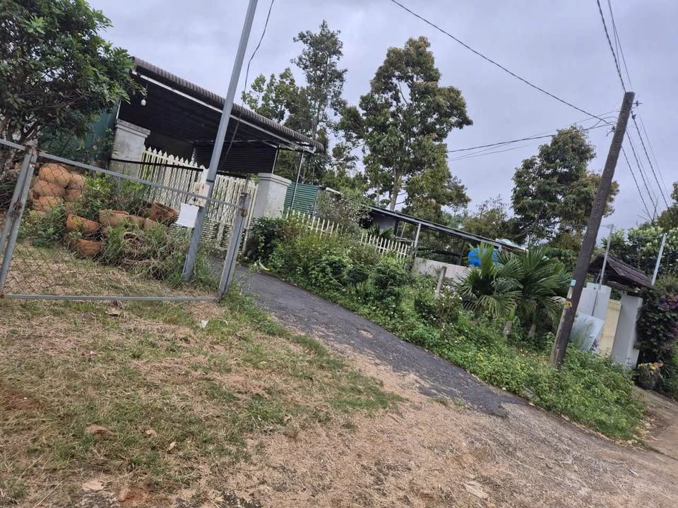 Đất nền 1200m² tại Bảo Lộc - Giá chỉ 12.42 tỷ - Đầu tư sinh lời ngay!