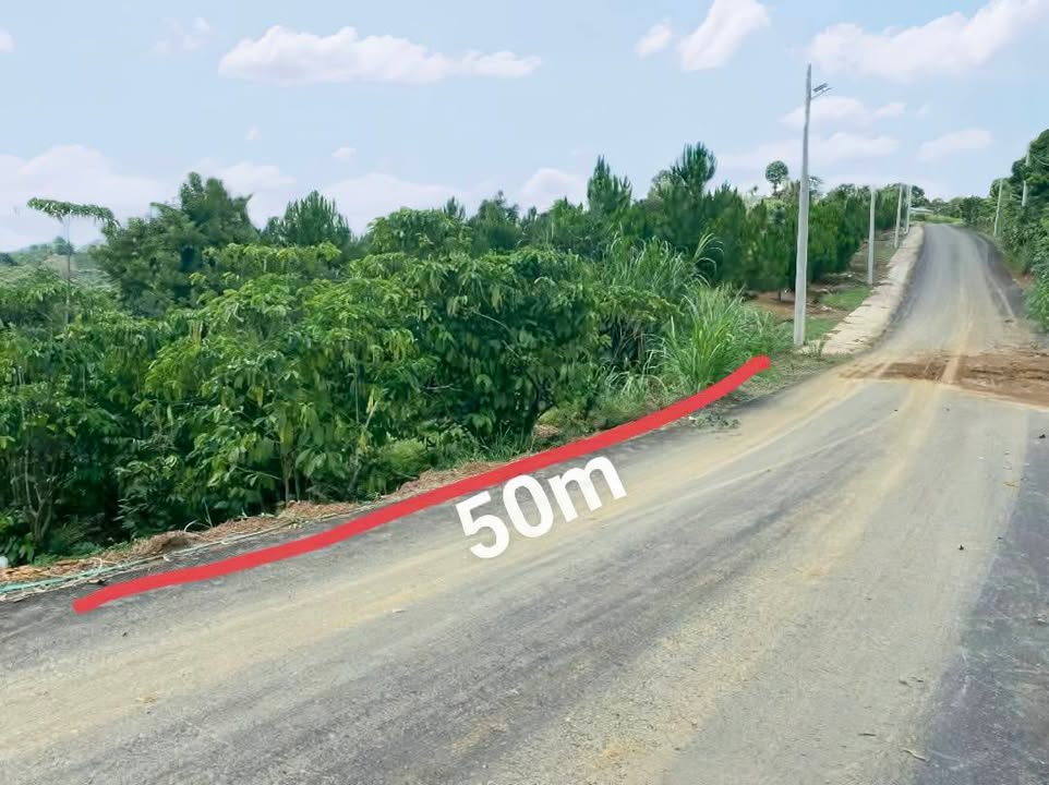 Đất nền Tân Lạc 2500m² giá 1.65 tỷ - Đầu tư du lịch sinh lời!