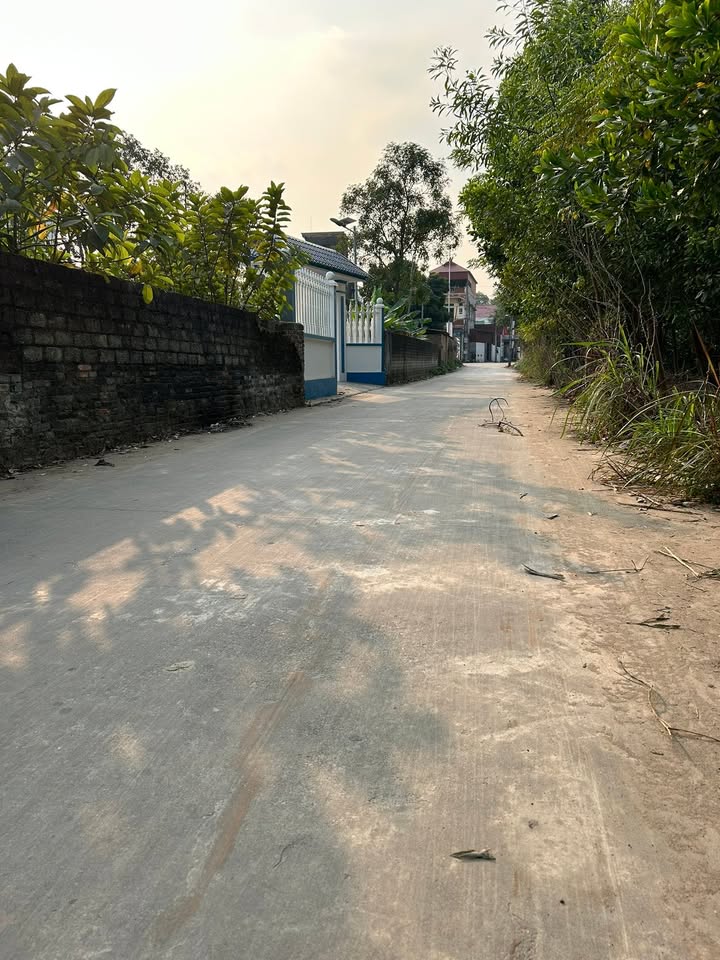 Đất nền KCN Đoan Bái 126.6m² giá 700 triệu - Đầu tư ngay hôm nay!