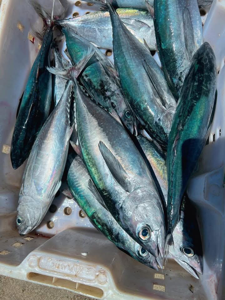 Bán đất thổ cư đường Trường Chinh, Hoài Xuân 174m² giá 9xx triệu - Đầu tư sinh lời tốt!